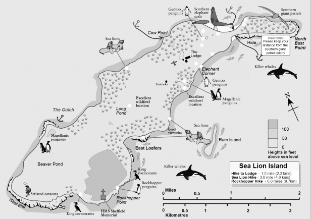 Sea Lion IslandMap Courtesy of Falkland Islands Tourist Board 