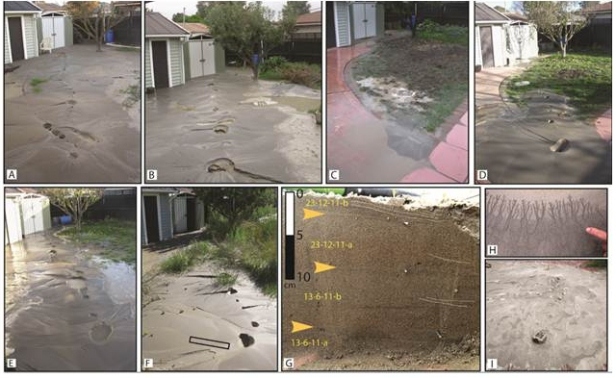 Figure 4. Field photographs (looking southwest) of sand blows in eastern Christchurch following the (A) Darfield ML 7.1 earthquake, (B) 22 Feb 2011 ML 6.3, 5.8, and 5.9 earthquakes, (C) 16 April 2011 ML 5.5 earthquake, (D) 13 June 2011-a ML 5.6 earthquake, (E) 13 June 2011-b ML 6.4 earthquake, (F) 23 December 2011 ML 5.8 and ML 6.0 earthquakes. All photos were taken from same location within 3 h of the last inducing earthquake. G: Distinct liquefaction ejecta units in sand blow stratigraphy. Arrows and nails denote silt drapes. Cross-bedding as sketched. Location of photographed portion of trench location shown in F and H. Microrill development in silt drape at the edge of a sand blow, (I) post-depositional erosion of sand blow and silt drape to form parabolic micro-dunes and ripples only 2 mo. after formation. Figure from Quigley et al.11